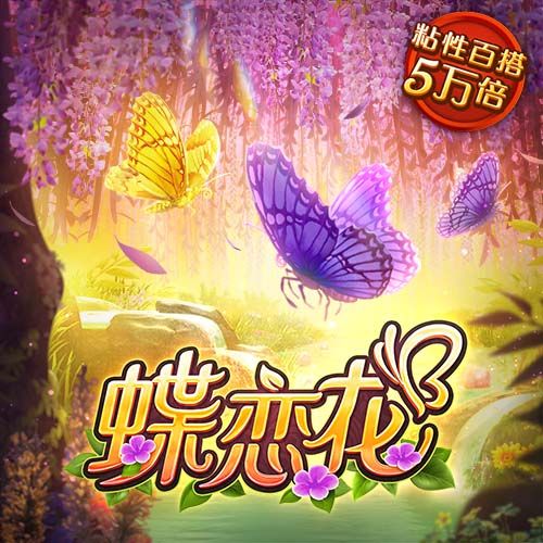 bob·体育综合